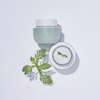 YEHWADAM Artemisia Soothing Moisturizing Cream